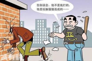 什么是“躲猫猫事件”