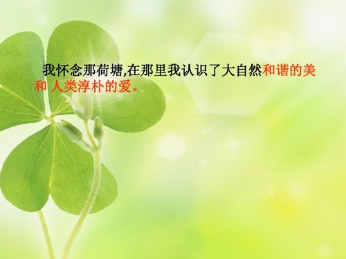 荷塘旧事作者着力描写了哪些事物寄托了作者怎样的情感?