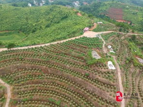 丰稔是什么意思