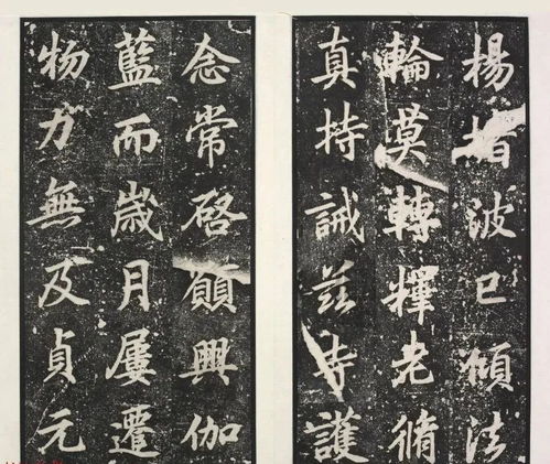 金翅擘海指什么动物