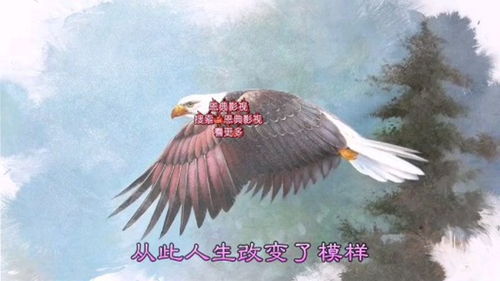 三年级什么的翅膀怎么填空?