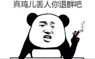 搅合的拼音