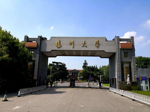 扬州大学研究生网上确认，扬州大学研究生网课答案