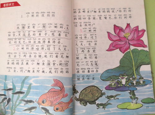 一年级春晓古诗简单手抄报 一年级春游手抄报
