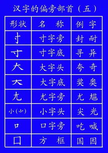 反笔顺怎么写