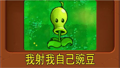 奇怪的美容店韩版带中译奇怪的美发沙龙，奇怪的圆盘四个位置