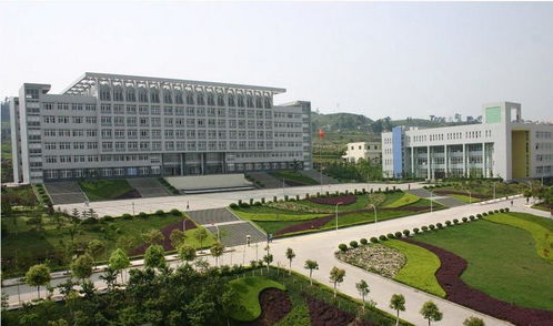 重庆大专院校有哪些学校