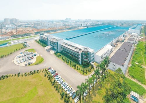 江海区和蓬江区哪个好