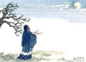 晚次鄂州表达了什么感情，晚次鄂州的次什么意思