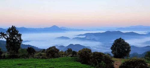 金龙山国家森林公园门票多少钱，金龙山庄水上乐园
