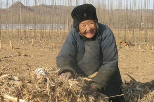 无依无靠什么意思