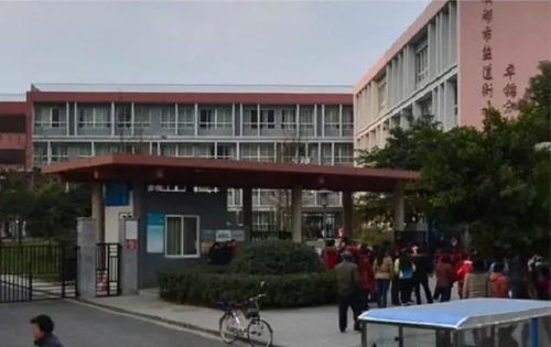 卓锦城6期每家可以有几个小孩读盐道街小学