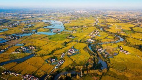 一条大河波浪宽,风吹稻花香两岸,这是什么歌
