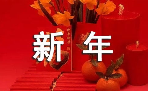我的春节作文450字