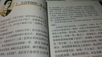 读后感三百字四年级，昆虫记读后感三百字