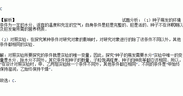 稻草人一粒种子读后感20字，一粒种子读后感20字以内