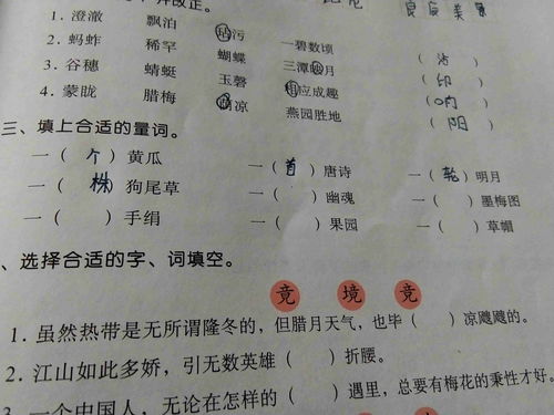 一()桅杆,一()乐典”中括号可以填哪些量词?