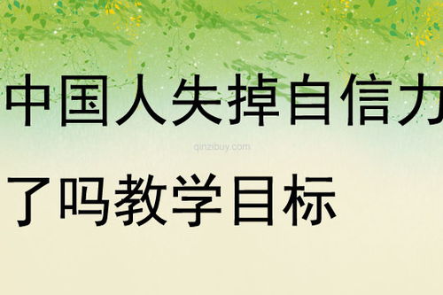 中国人失掉自信力了吗教案是什么?