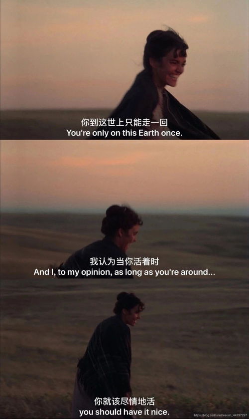 怀疑的反义词有哪些
