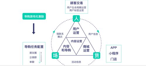 因素的意思