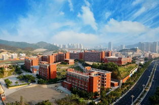 闽南科技学院面积