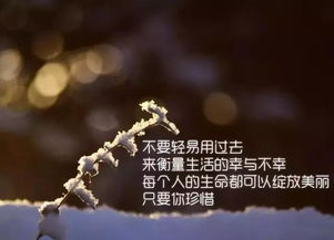 水浒传阅读感悟50字，三国演义阅读感悟50字