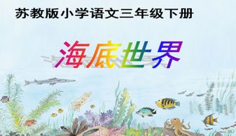 海底世界课文三年级课堂笔记，海底世界课文三年级教案