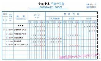明细账包括哪些?