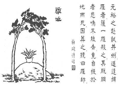 谁知道雁丘的意思啊