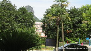 桂林电子中等专业学校电话，桂林电子中等专业学校学费
