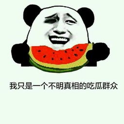对台戏是什么意思?