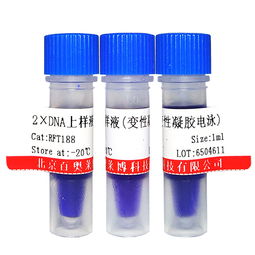 肌酸的主要成分是什么?