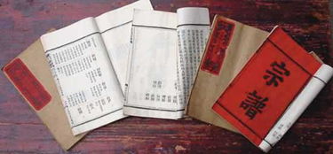 望姓氏怎么读，望娃是什么电影