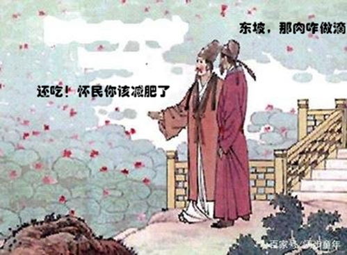 怀民亦未寝,相与步于中庭翻译