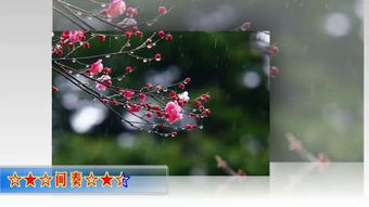 心田拼音