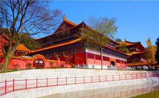 嵩阳寺门票价格，嵩阳寺方丈