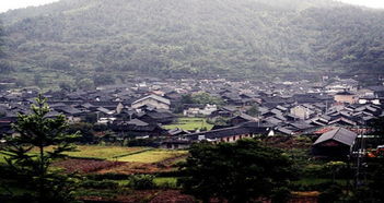南方多地遭遇强降雨袭击,如何预防洪涝灾害的发生?
