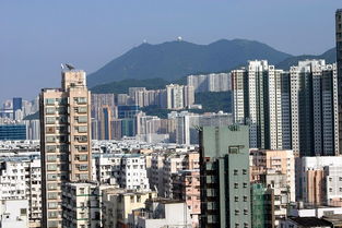 kowloon city，kowloon tong