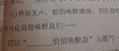以唤醒为题的作文600字