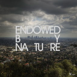 endow什么意思及同义词