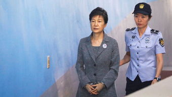 meddle什么意思，meddler
