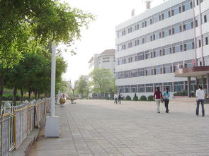 沧州幼儿师范高等专科学校和泊头职业学院哪个好