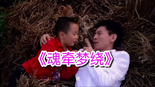 魂牵梦绕什么意思解释一下，魂牵梦绕,是什么意思