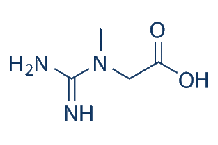 creatine 中文，CREATINE是什么产品