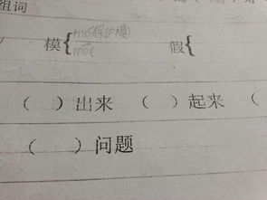 模字是什么意思