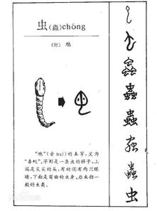 虫的汉语拼音是怎么的?