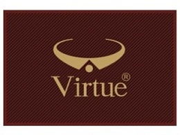 virtue翻译中文，virtues游戏