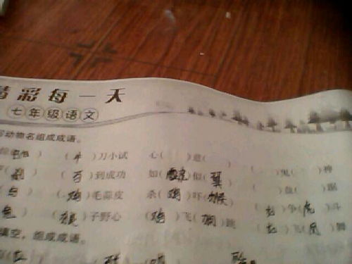 含反义词词语大全