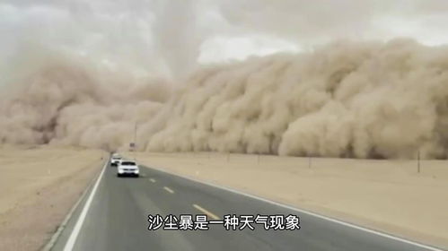 沙尘暴对人类的危害有哪些方面，沙尘暴对人类的危害是什么