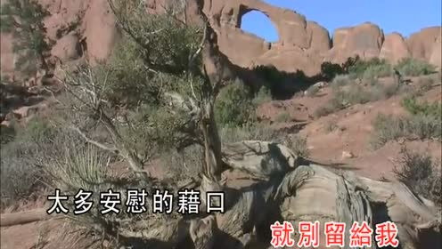 被爱捉弄歌词，被爱捉弄歌曲